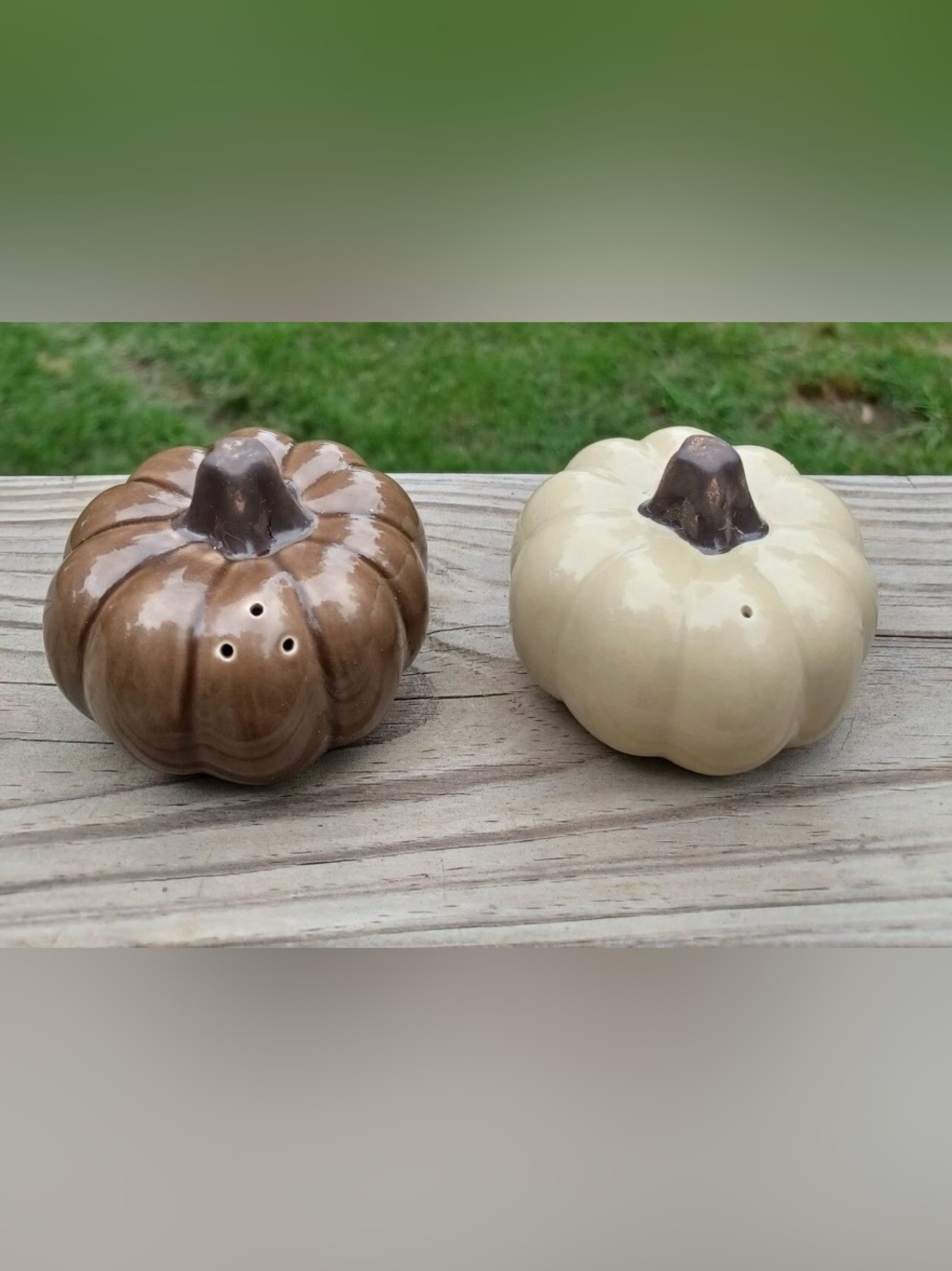 Pottery Barn Pumpkin Salt & Pepper Shakers Barbara Eigen Fall Thanksgiving